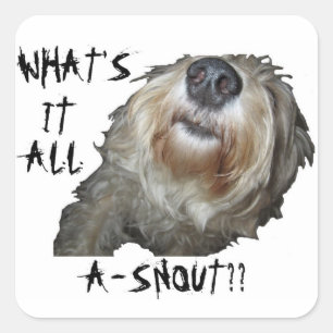 "WAT IS HET ALLEMAAL EEN SNOUT?" Stickers - set va