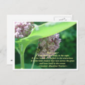 Wat is het leven? briefkaart (Voorkant / Achterkant)