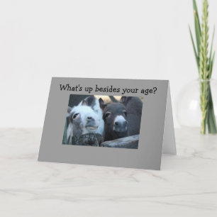 WAT IS JE LEEFTIJD BEST? KAART