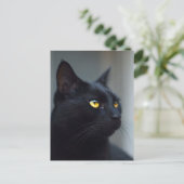 Wat is jouw kat aan het denken briefkaart (Staand voorkant)