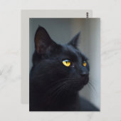 Wat is jouw kat aan het denken briefkaart (Voorkant / Achterkant)