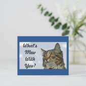 Wat is Mew Cat? Briefkaart (Staand voorkant)