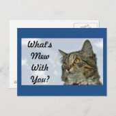 Wat is Mew Cat? Briefkaart (Voorkant / Achterkant)