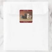 Wat is New Cats Sticker (Tas)