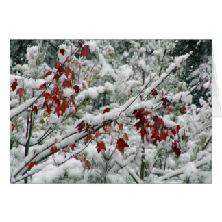 Wat is rood, wit en sneeuw overal?