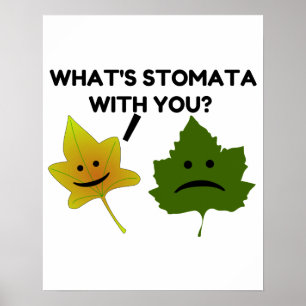 Wat is Stomata met jou? Poster