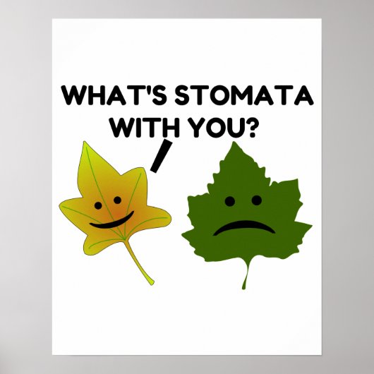 Wat is Stomata met jou? Poster (Voorkant)