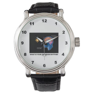 Wat is uw Circadiaans ritme? Horloge
