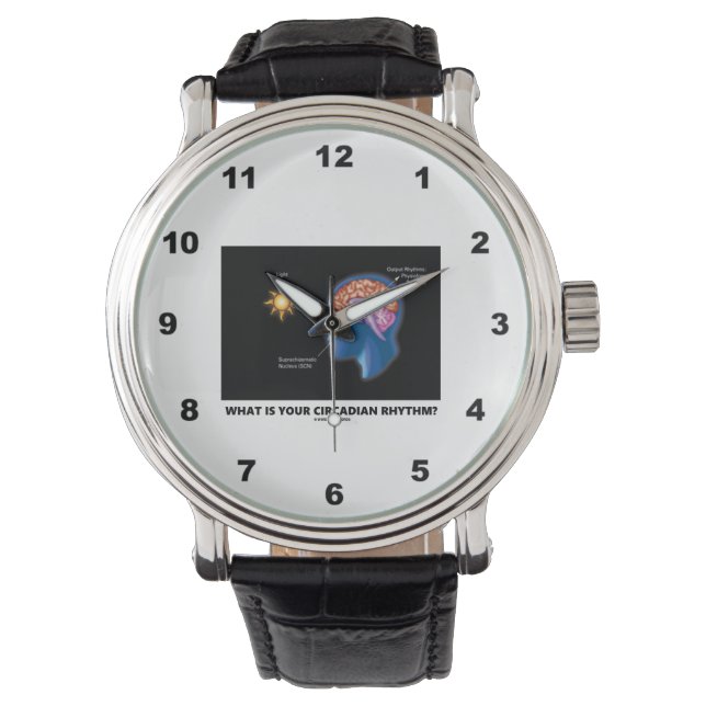Wat is uw Circadiaans ritme? Horloge (Voorkant)