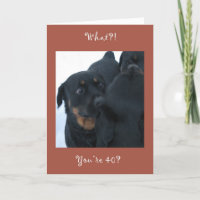 Wat?! Je bent 40? verjaardagskaart