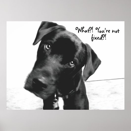 Wat? Je bent niet, vast? Poster (Voorkant)