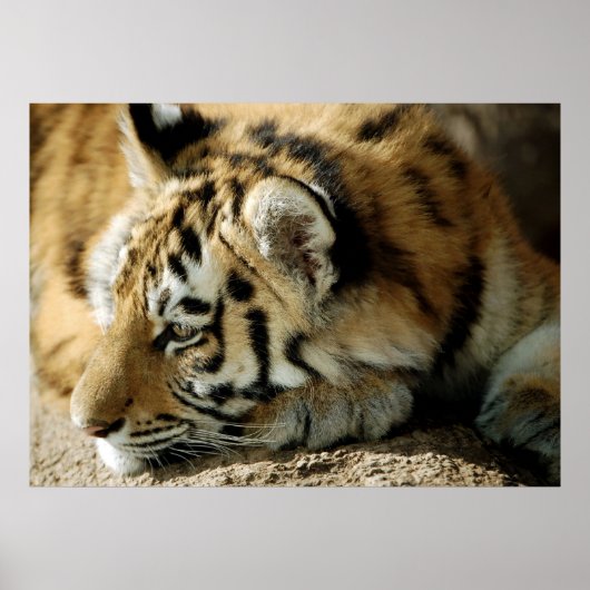 Wat kan ik nu doen? poster (Voorkant)