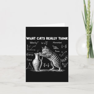 Wat katten echt grappig vinden Katten natuurkunde Kaart