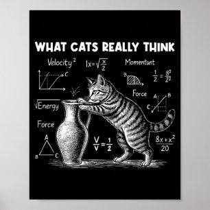 Wat katten echt grappig vinden Kattenfysica Wetens Poster