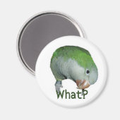 Wat? Magneet (Voorkant / Achterkant)