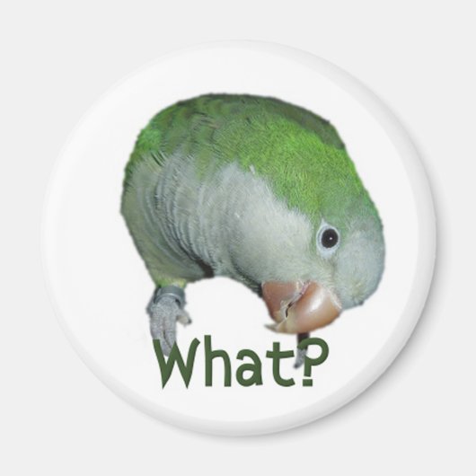 Wat? Magneet (Voorkant)