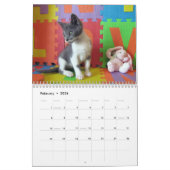 Wat met Bob Kitten (kat) Agenda Kalender (Feb 2026)