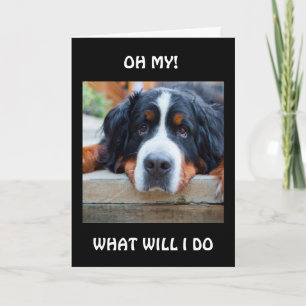 WAT MOET IK DOEN "ZONDER JOU?" KAART