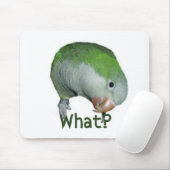 Wat? Muismat (Met muis)