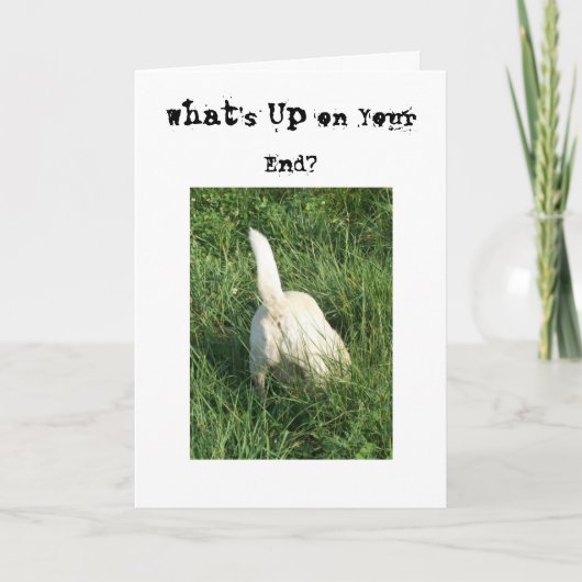 Wat omhoog is kaart (Voorkant)