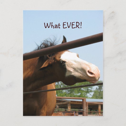 Wat ooit! briefkaart (Voorkant)