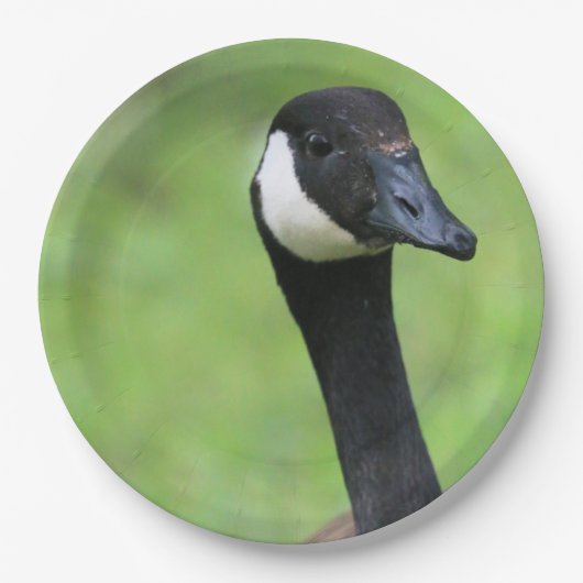 Wat? Papieren Bordje (Voorkant)