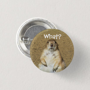 "Wat?" Prairie Dog Button