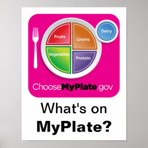 Wat staat er op MyPlate? Poster - Magenta op Wit
