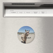 Wat stinkt? magneet (Insitu (Vaatwasser))