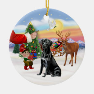 Wat te doen in de buurt van Black Labrador Retriev Keramisch Ornament