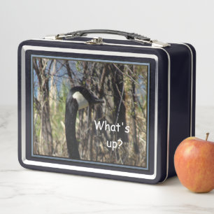 Wat te doen in de buurt van Metal Lunch Box