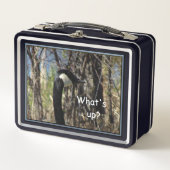 Wat te doen in de buurt van Metal Lunch Box (Voorkant)