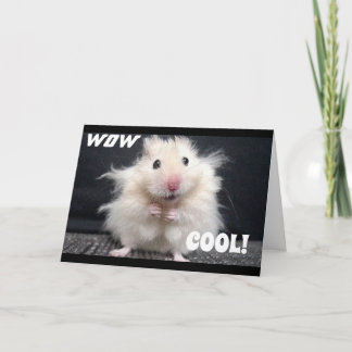 WAT U BENT **60** ZEGT COOL HAMSTER KAART