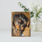 Wat verstop je?  Briefkaart (Staand voorkant)