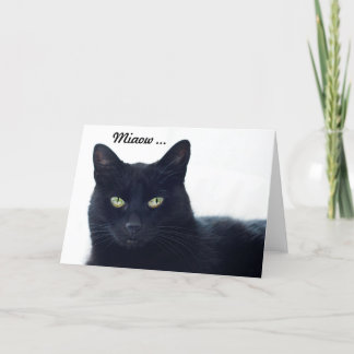 Wat vertelt deze kat ons op een verjaardag? kaart