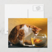 Wat voor eten? Briefkaart (Voorkant / Achterkant)