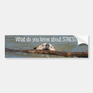 Wat weet je van STRESS? Bumpersticker
