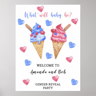 Wat zal baby gender onthullen welkom poster
