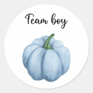 Wat zal baby zijn team jongen pompoen ronde sticker