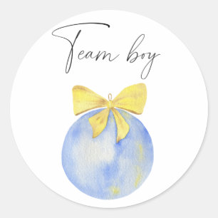 Wat zal de baby zijn team jongen ronde sticker