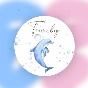 Wat zal de baby zijn team jongen ronde sticker