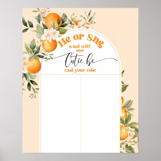 Wat zal kleine schatje zijn hij of zij grafiek poster (Voorkant)