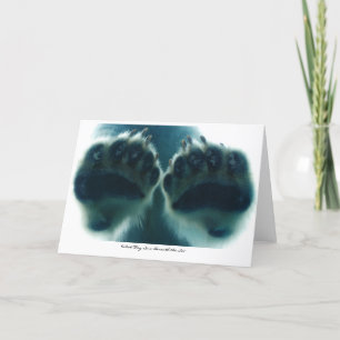 Wat ze onder het ijs zagen kaart