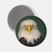 "WAT ZEGGEN?" Bald Eagle Magnet Magneet (Voorkant / Achterkant)