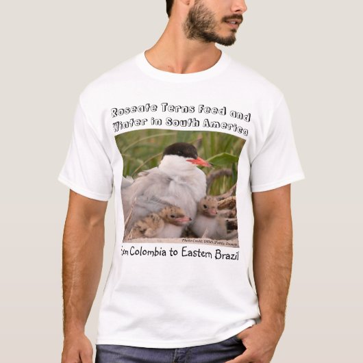 Wat zijn Roseate Terns? van RoseWrites T-shirt (Voorkant)