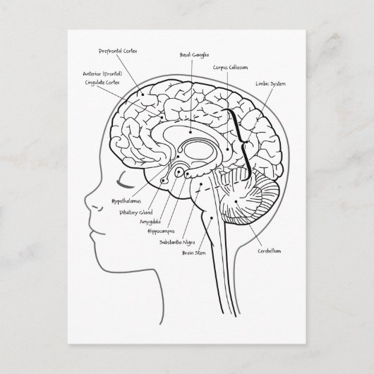 Wat zit er in je hersenen? briefkaart (Voorkant)