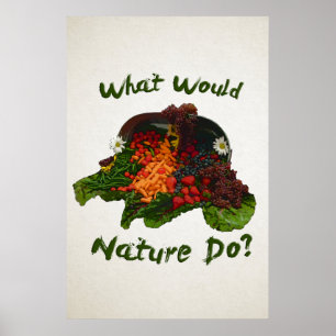 Wat zou de Natuur doen? Poster