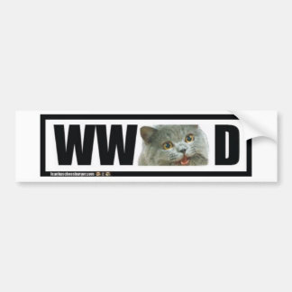 Wat zou een gelukkige kat doen? bumpersticker