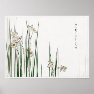 Watanabe Seitei Jonquil Illustratie van Bijutsu Poster