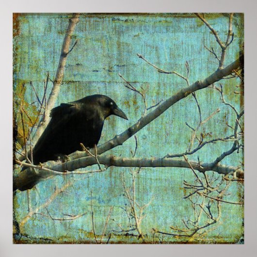 Watcher Poster (Voorkant)